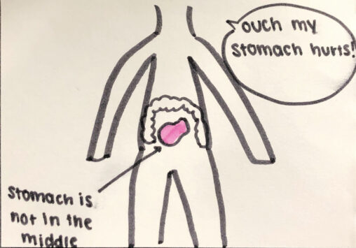 A human anatomy figure and in the abdominal area the stomach is in the centre while the large intestine surrounds it. In the speed bubble says “ouch my stomach hurts!”.