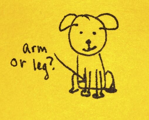 A dog with an arrow pointing to its leg saying "arm or leg?"