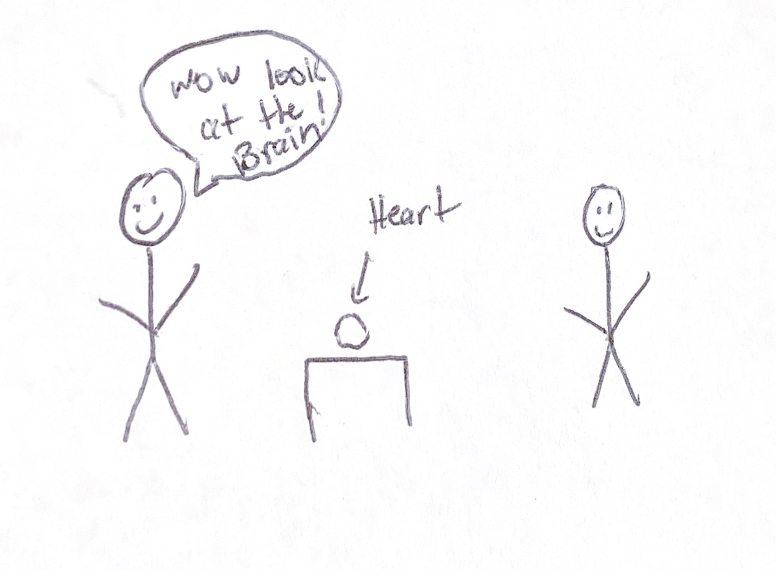 Two stick figures staring at a lamb heart on a table. One stick person continuously calls the heart a brain.
