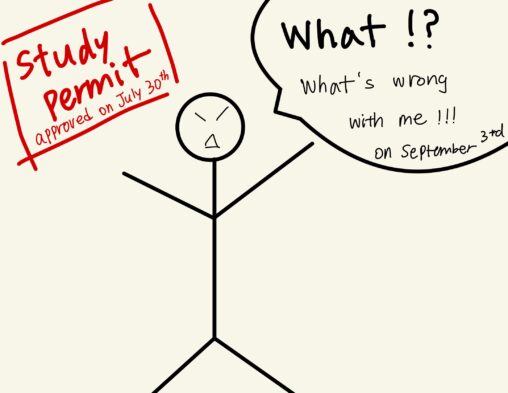A STICK FIGURE, GETTING SHOCKED ABOUT THE FACT THAT HER STUDY PERMIT WAS APPROVED ALREADY.