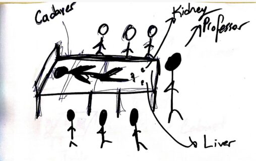 Stick figures are at the labrotary, along with a professor and students. There is also a cadaver lying down.
